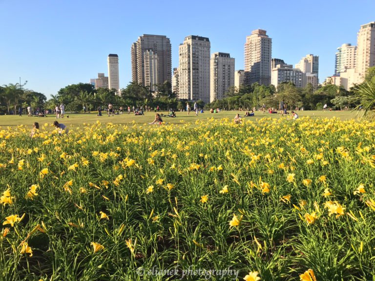 parque-do-povo-sp