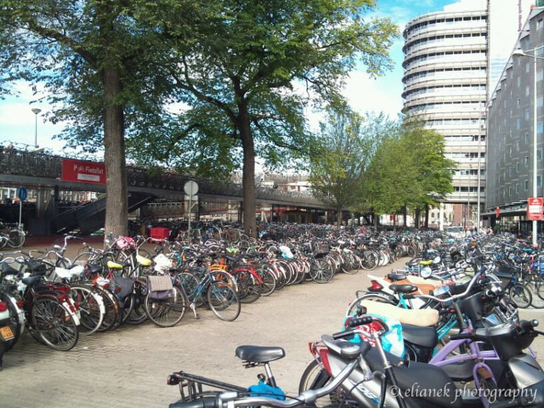 amsterdam bicicletas