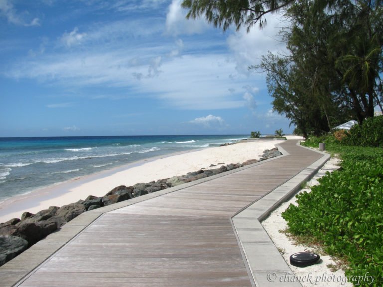 barbados caribe