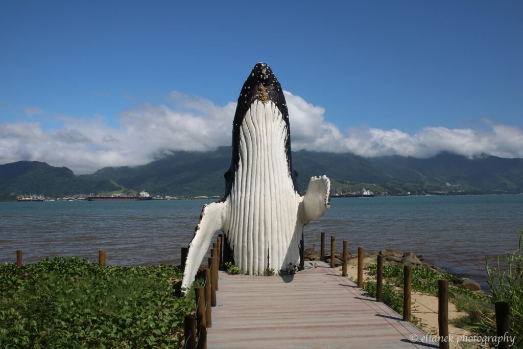 baleia jubarte escultura
