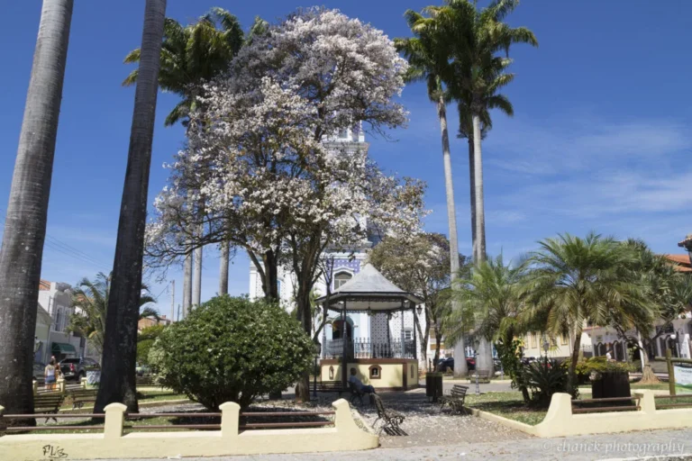 paraibuna