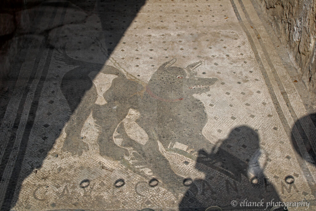 mosaico cachorro