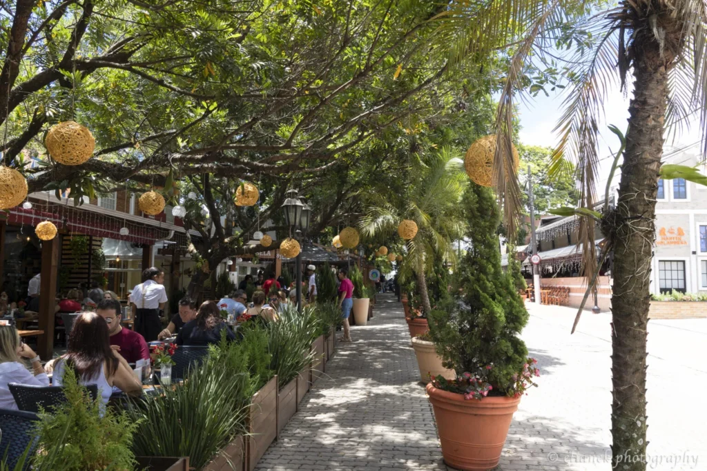 boulevard holandes holambr