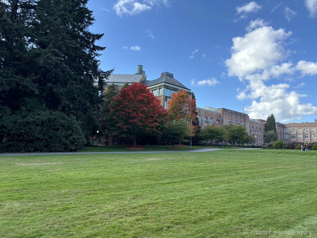 universidade de washington