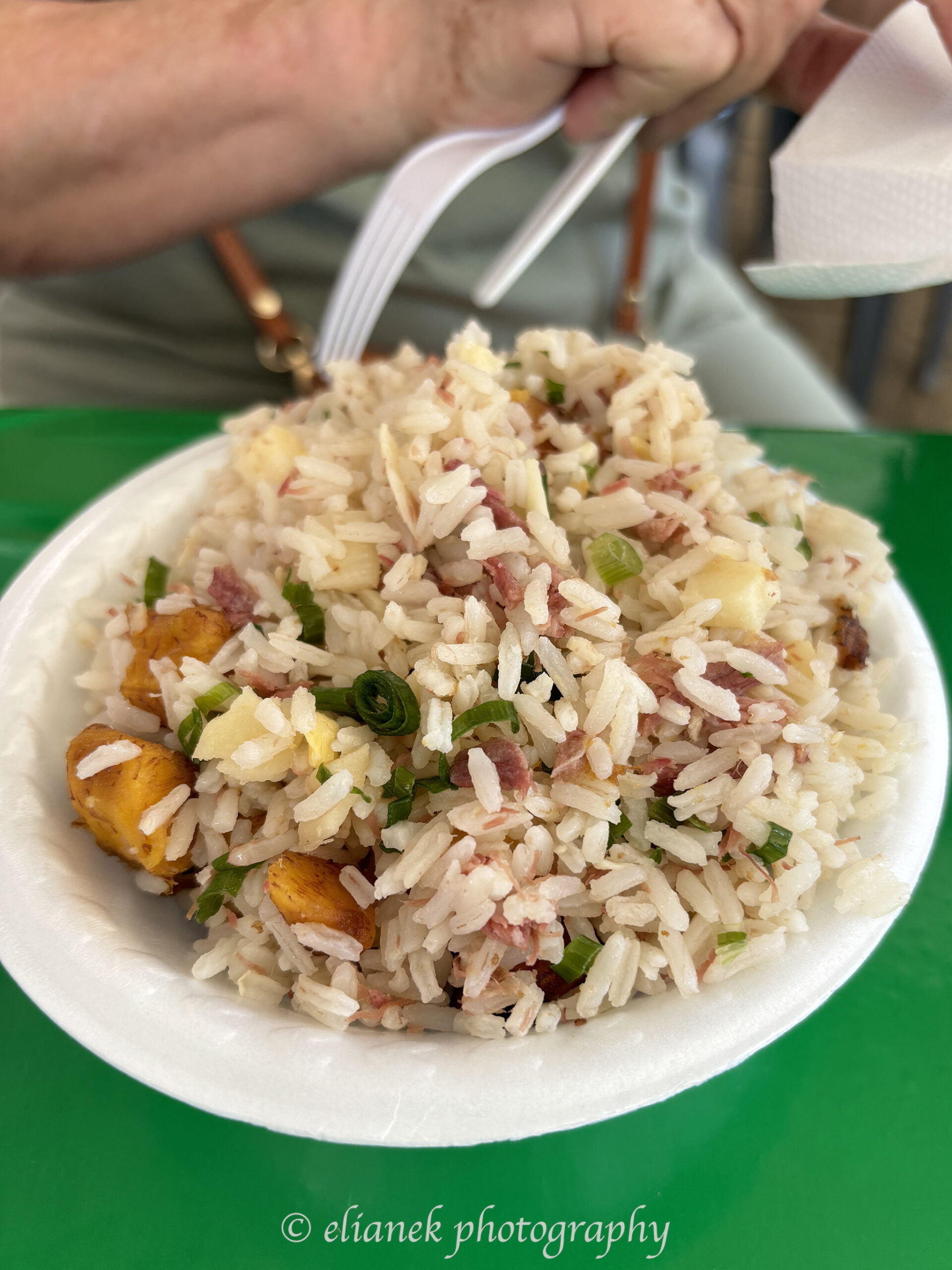 festival do arroz de tremembé