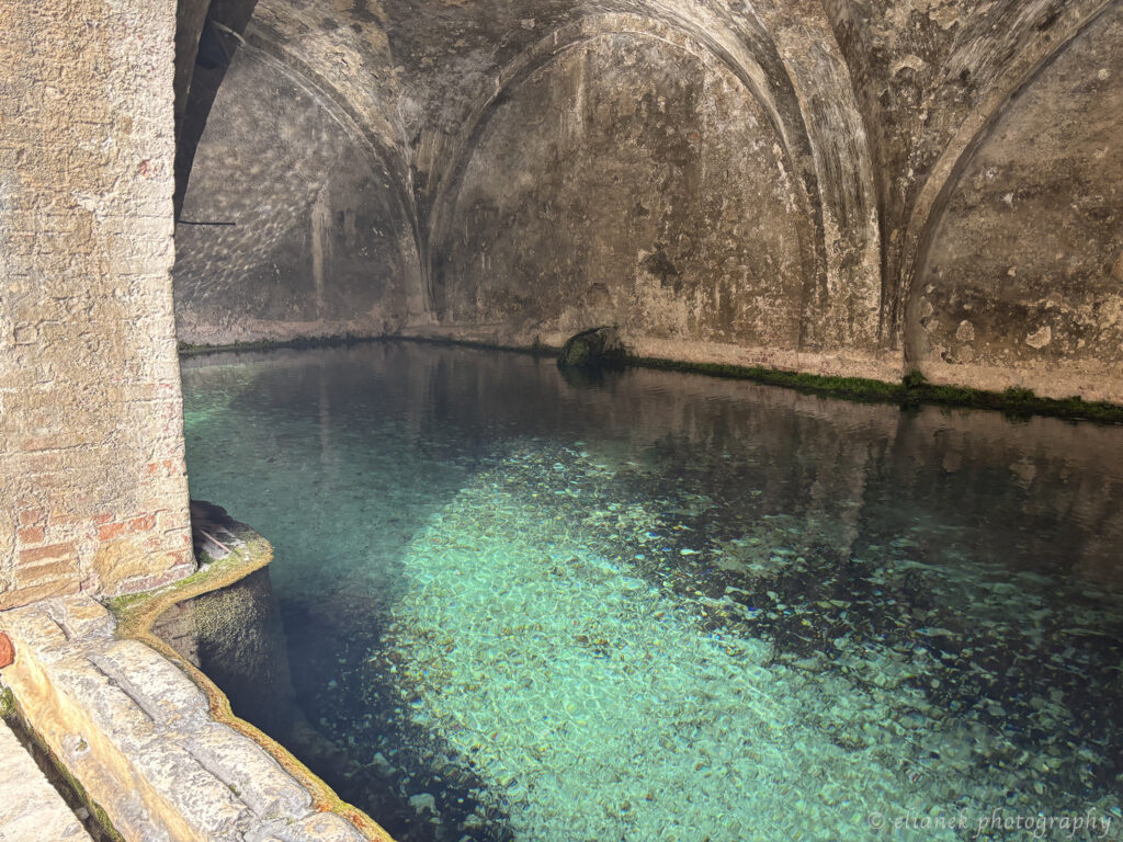 fontebranda