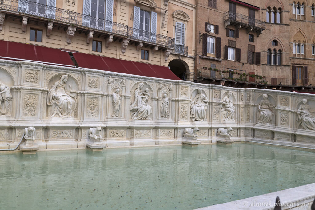 Fonte Gaia Siena