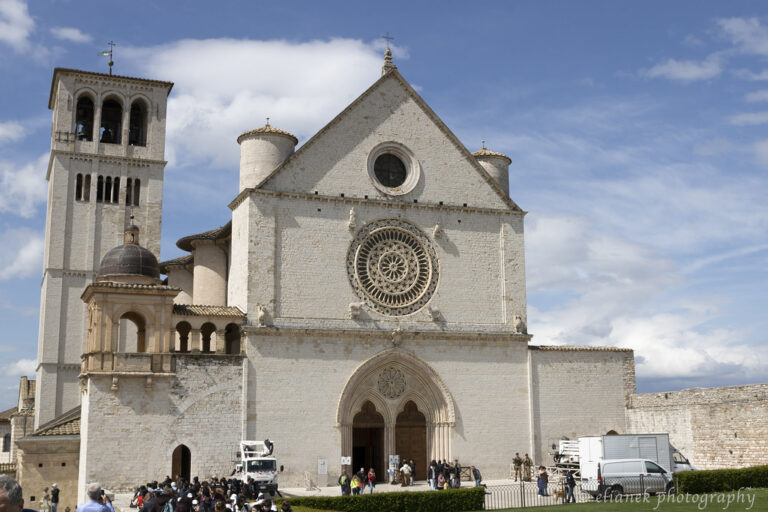 assis italia
