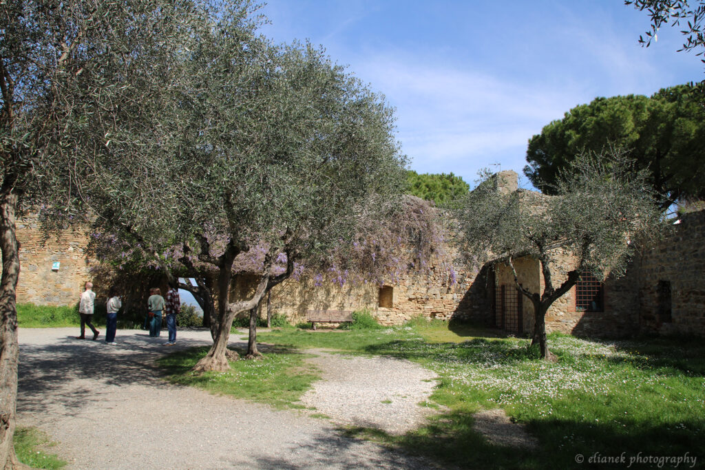 Rocca di Montestaffoli