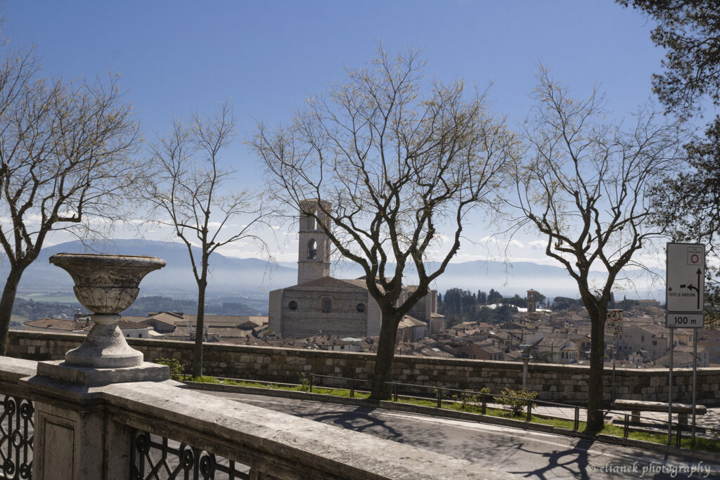Jardins Carducci