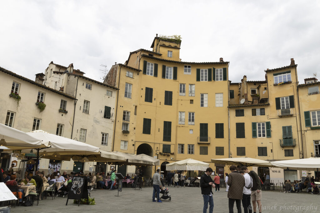 Piazza Anfiteatro lucca