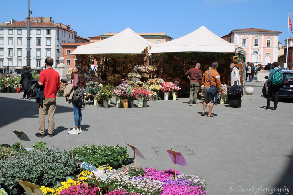floriculturas pisa italia