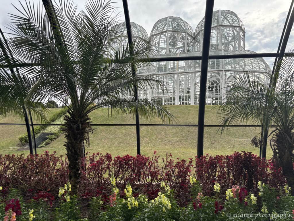 jardim botanico de curitiba