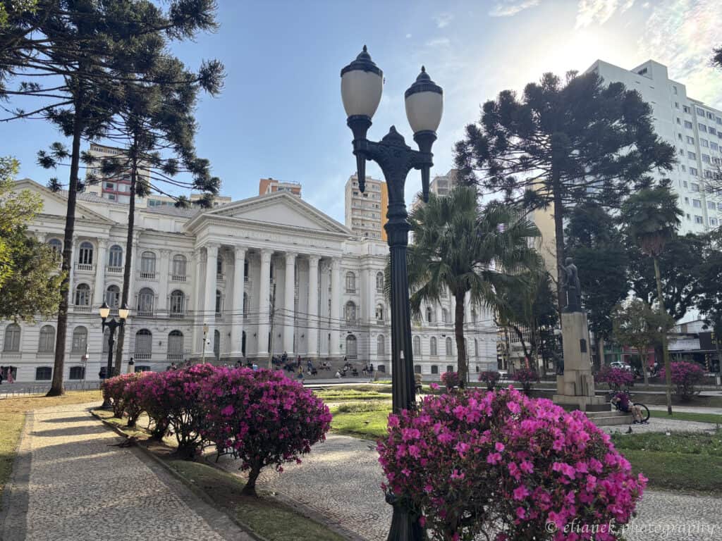universidade federal do parana