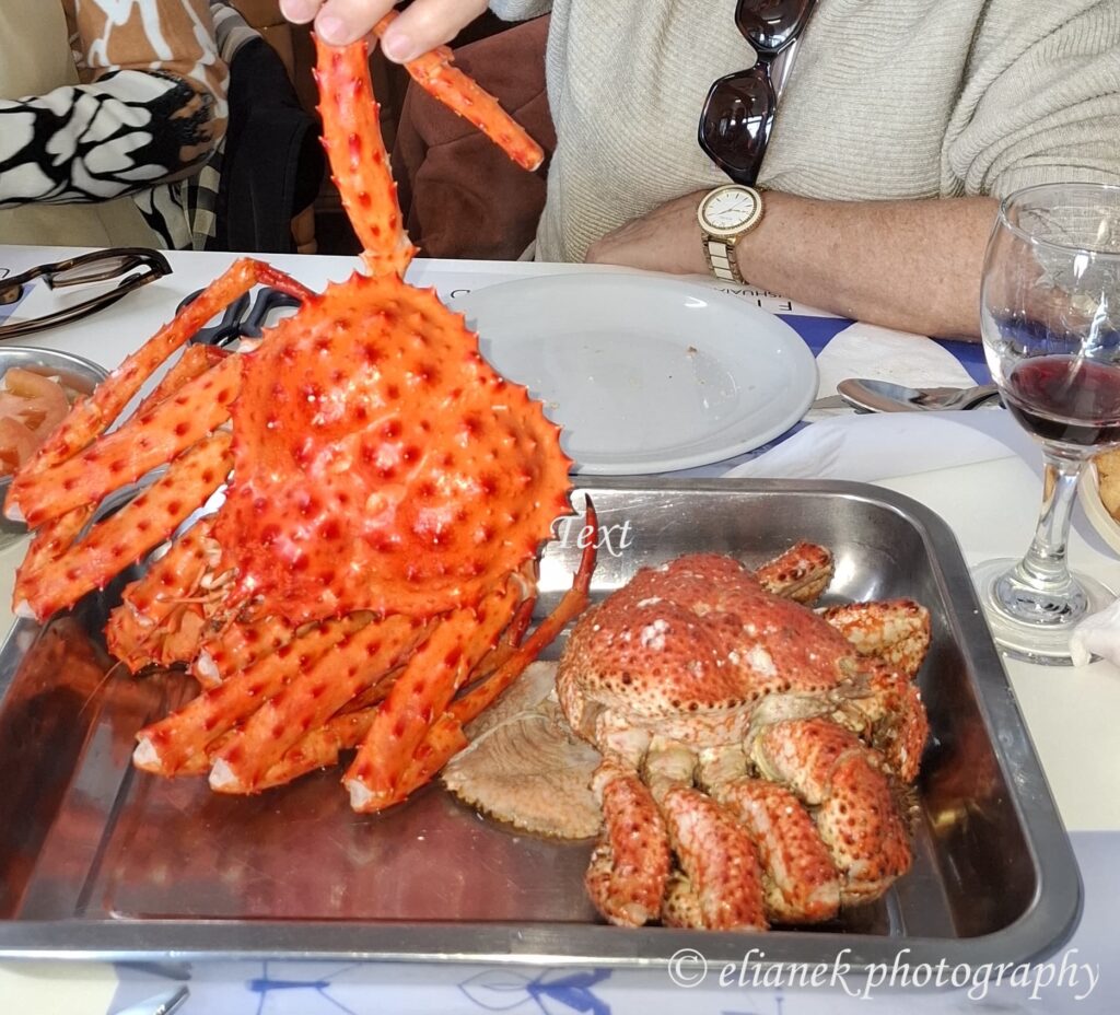 centolla o caranguejo gigante
