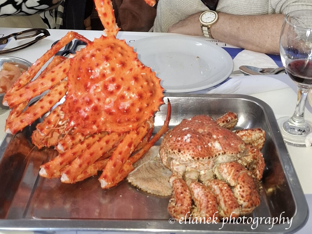 A centolla, conhecida como caranguejo-gigante